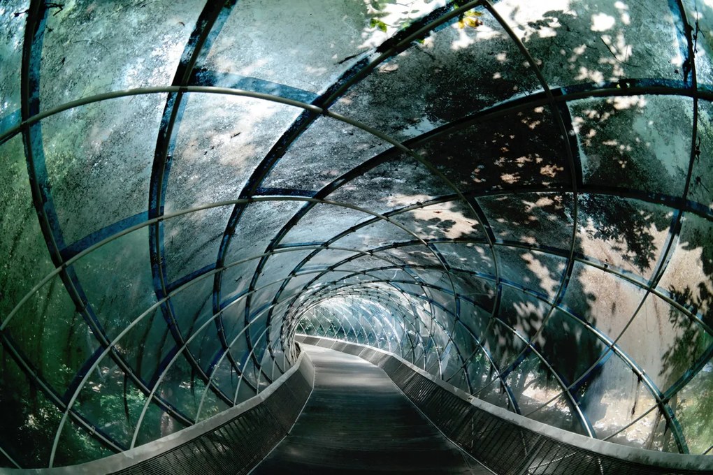 Tapet Tunnel of Glass, Rebel Walls