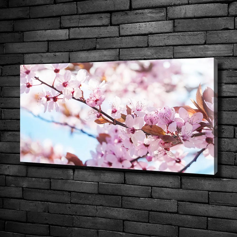 Print pe canvas Flori de cireș