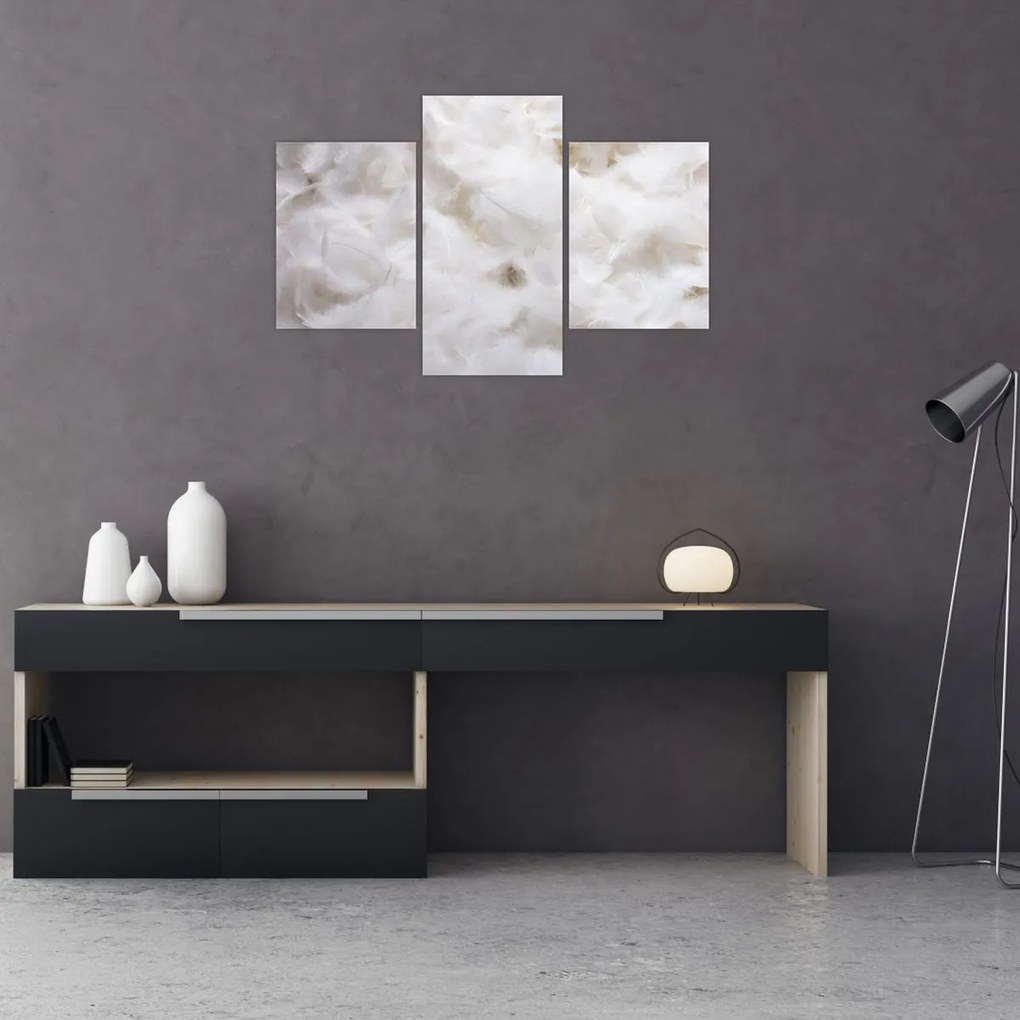 Tablou - Pene albe (90x60 cm)