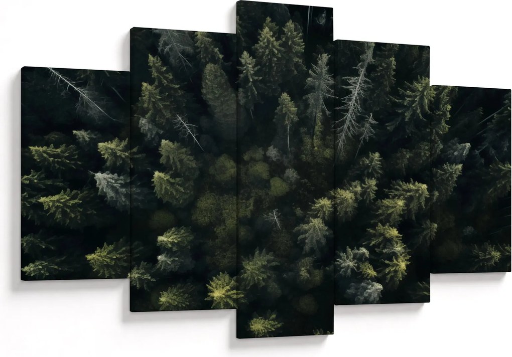 Tablou - Pădure (150x105 cm)