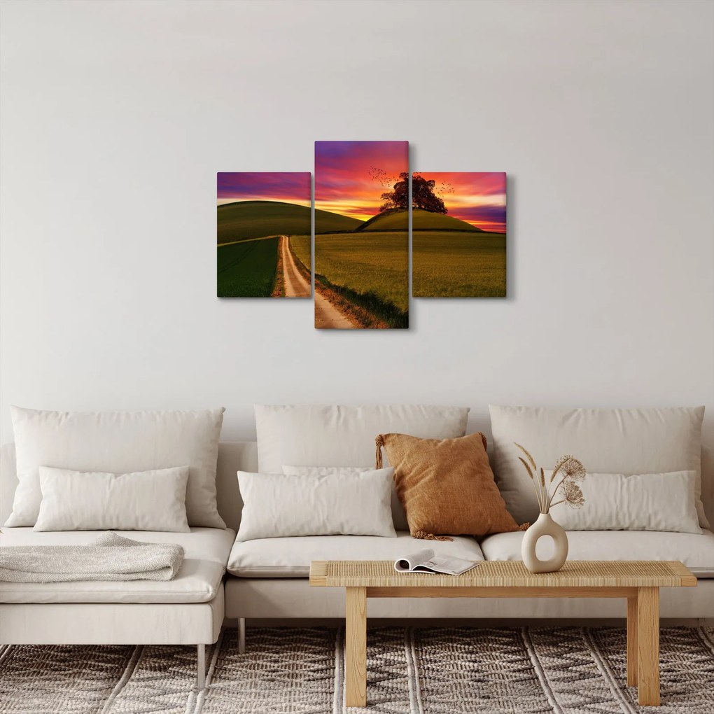 Tablou cu câmp și cerul colorat (90x60 cm)