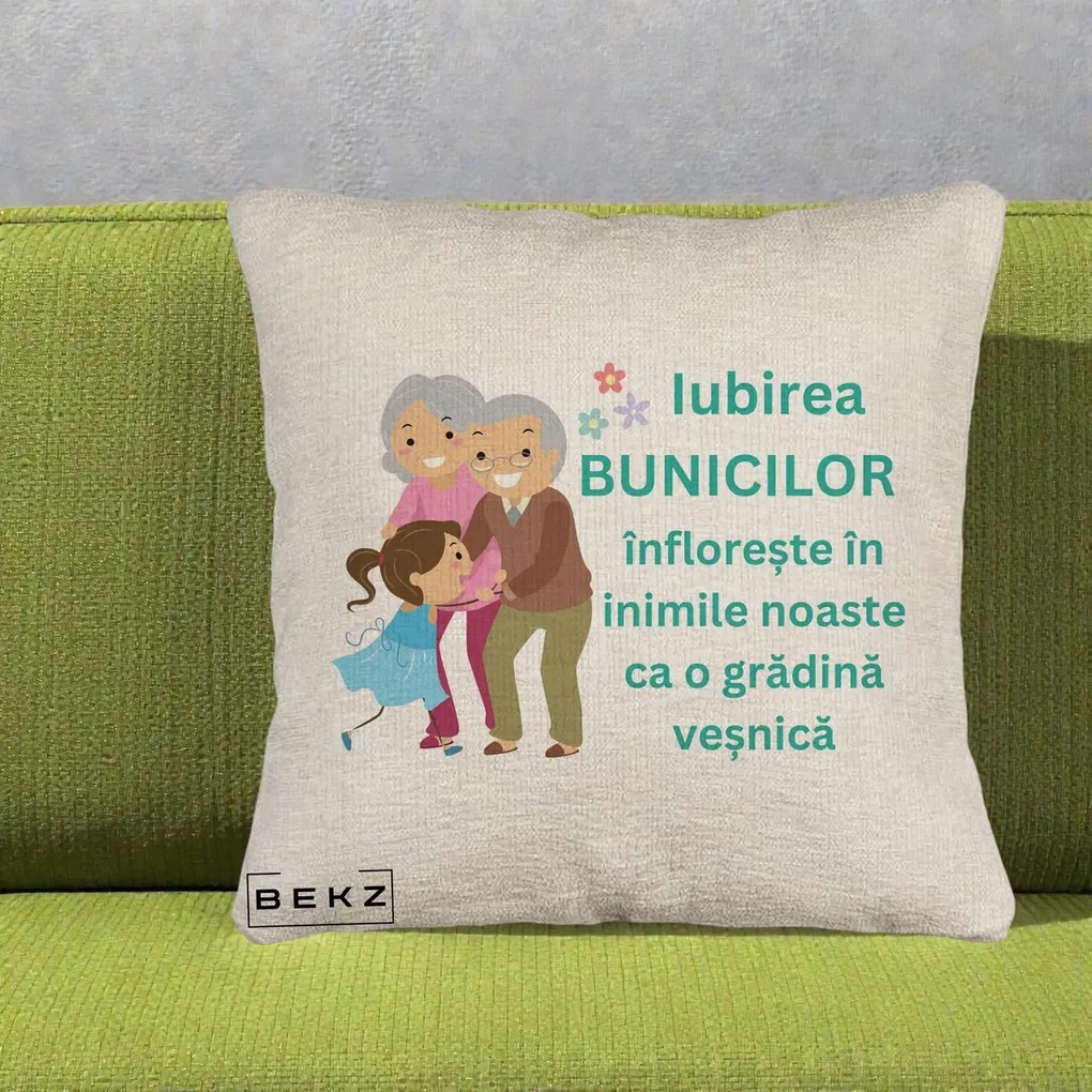 Cadou pentru Bunici - Perna Personalizata Bunicii Iubirea Infloreste cu Nepoata Teal, 40x40 cm, Bej Canapea, Husa Detasabila, Perna Inclusa, BEKZ®
