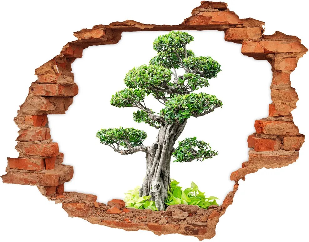Autocolant 3D gaura cu priveliște Copac bonsai