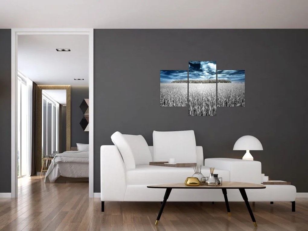 Tablou cu câmp (90x60 cm)