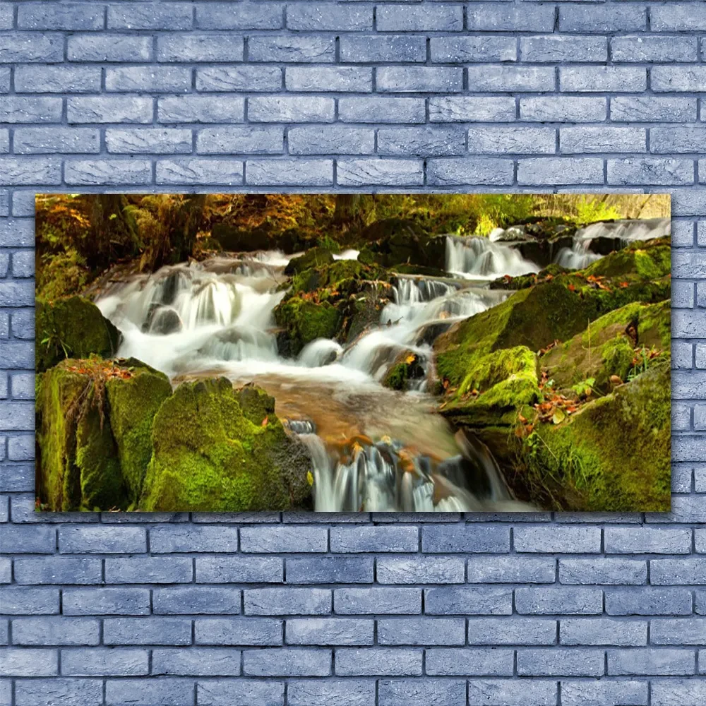 Tablou pe panza canvas Cascada Rocks Natura Alb Verde