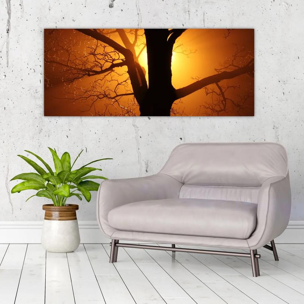 Tablou cu copac în apus de soare (120x50 cm), în 40 de alte dimensiuni noi