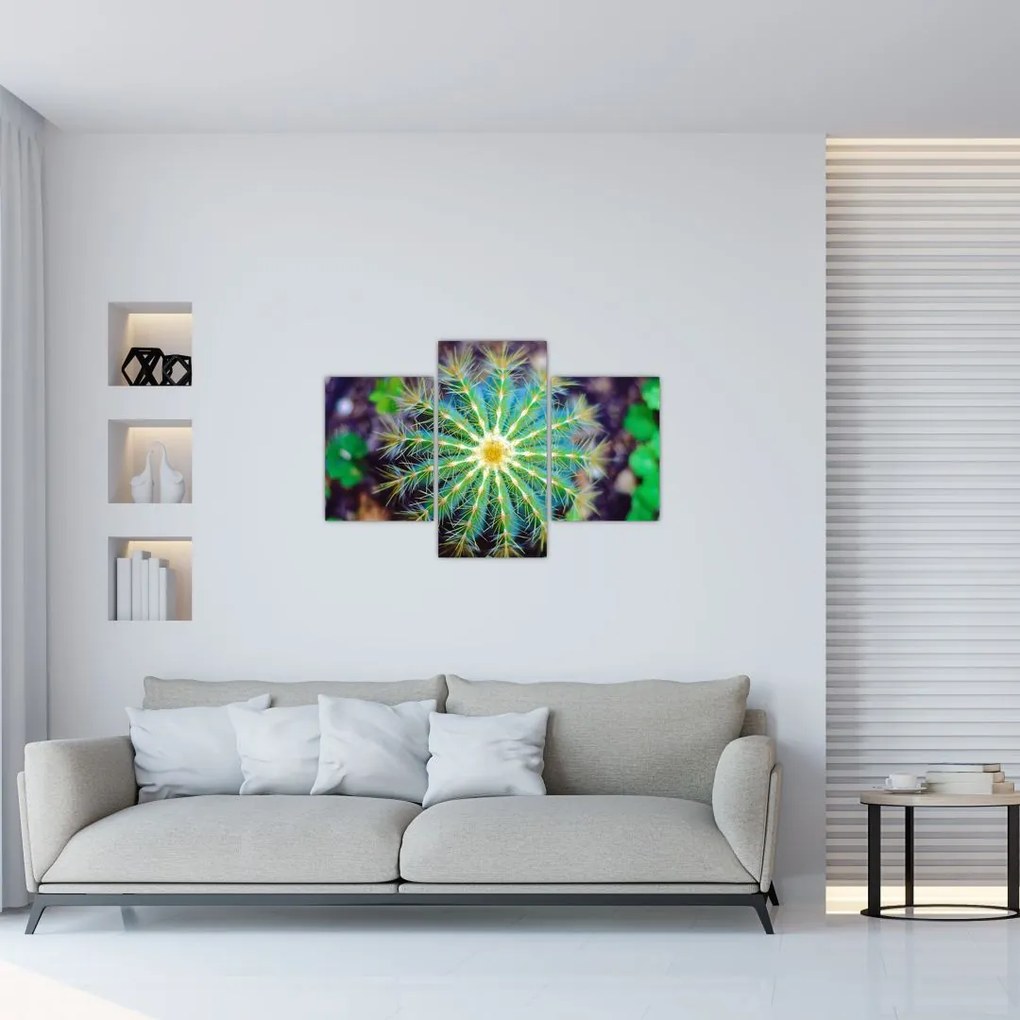 Tablou cu cactus (90x60 cm)