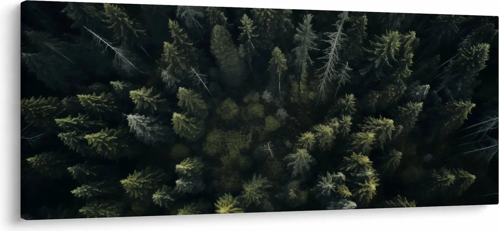 Tablou - Pădure (120x50 cm)
