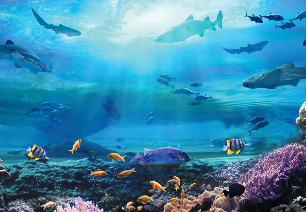 Fototapet - În ocean (147x102 cm)