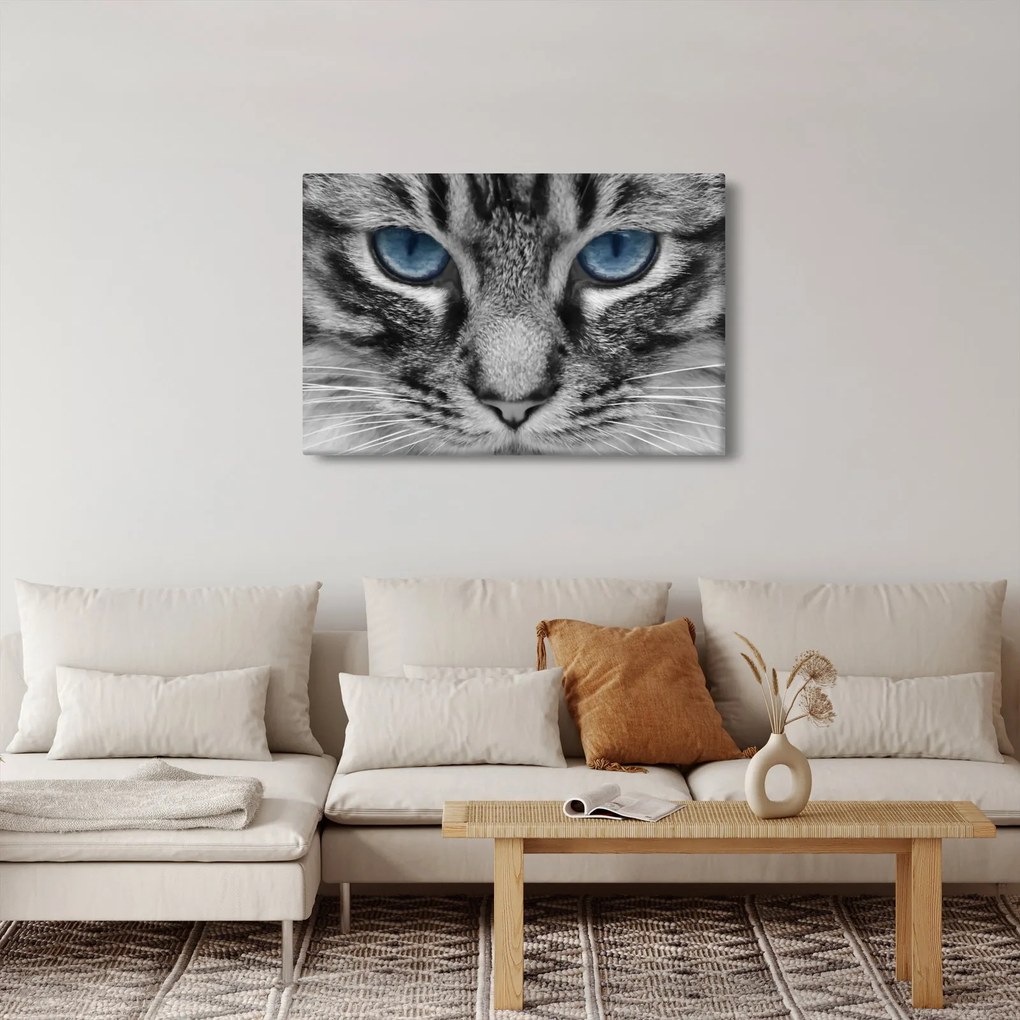 Tablou cu pisica (90x60 cm)