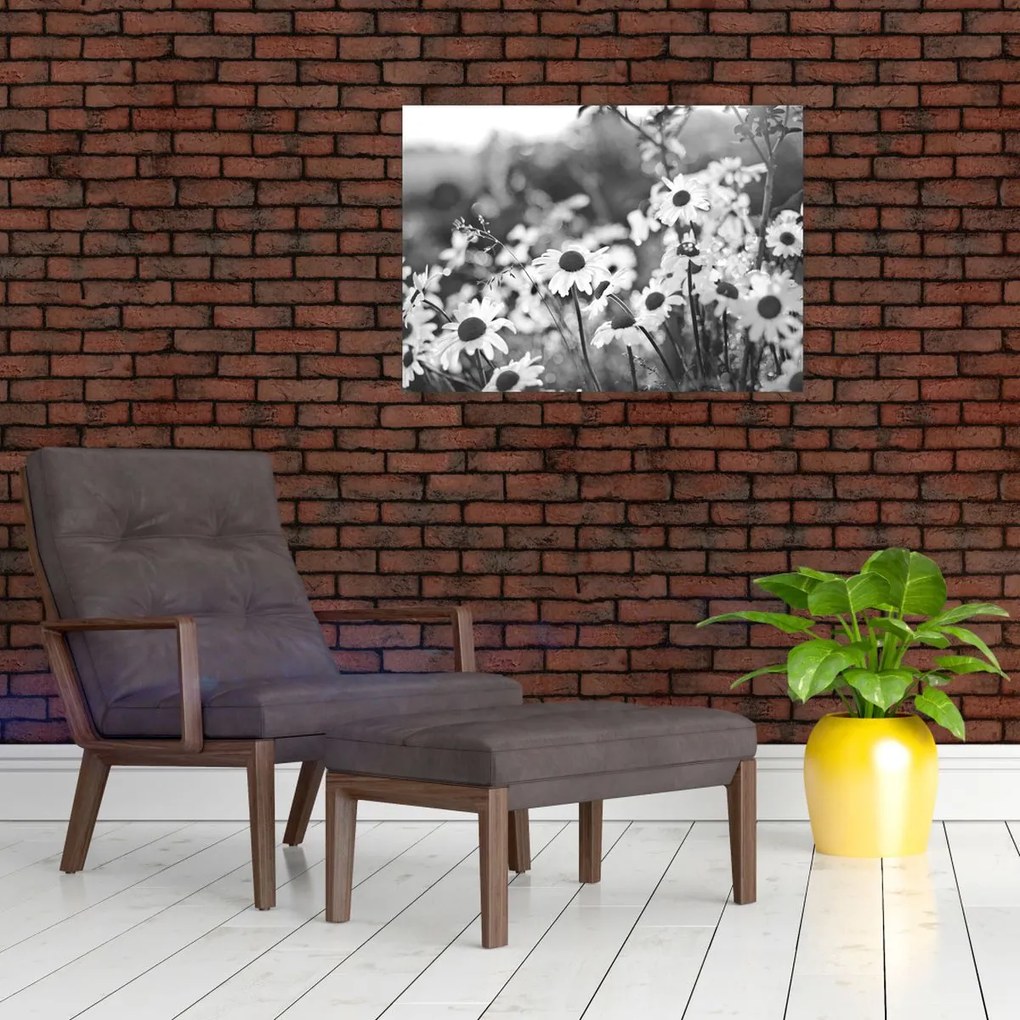 Tablou pe sticlă - Margarete (70x50 cm)