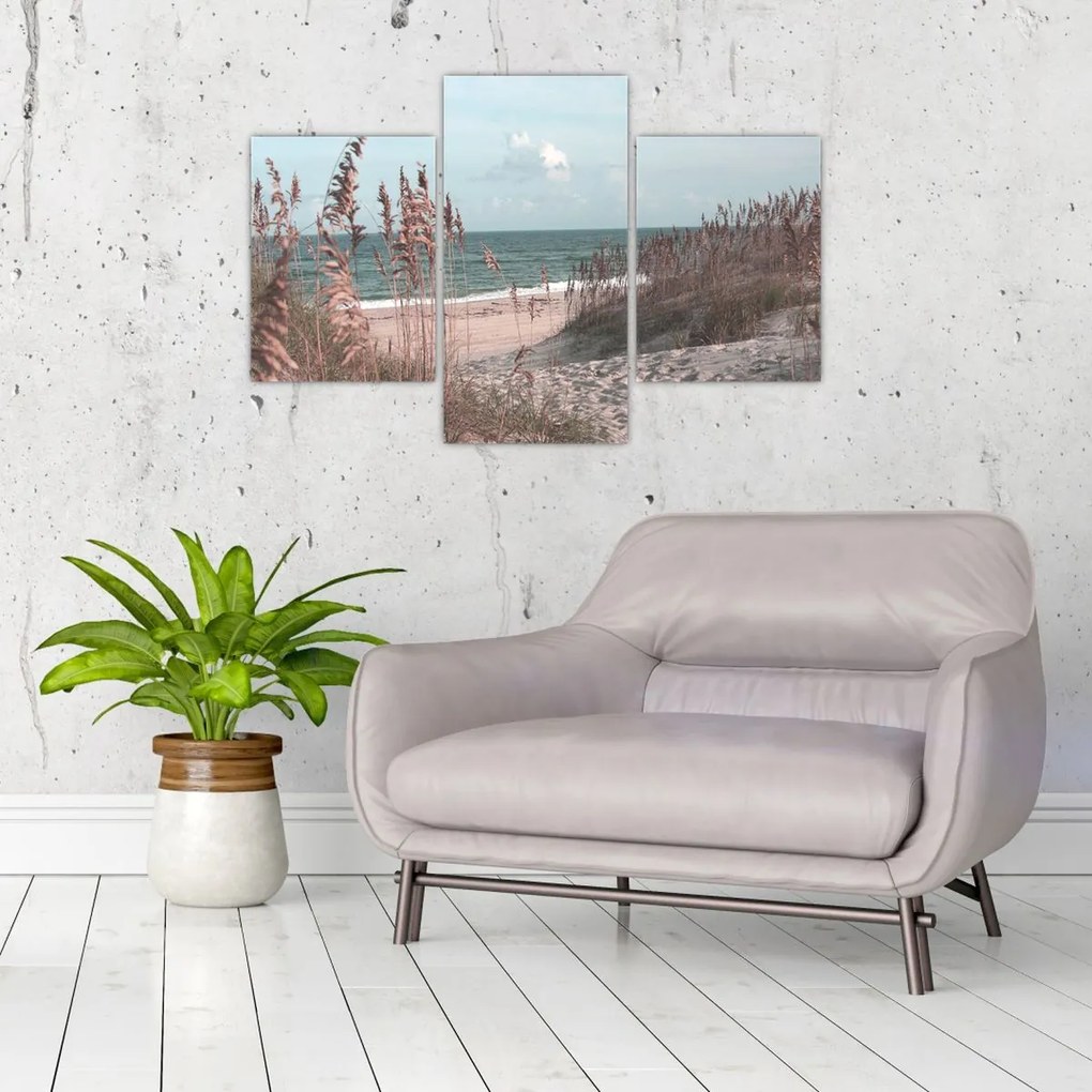 Tablou - Plaja roz (90x60 cm)
