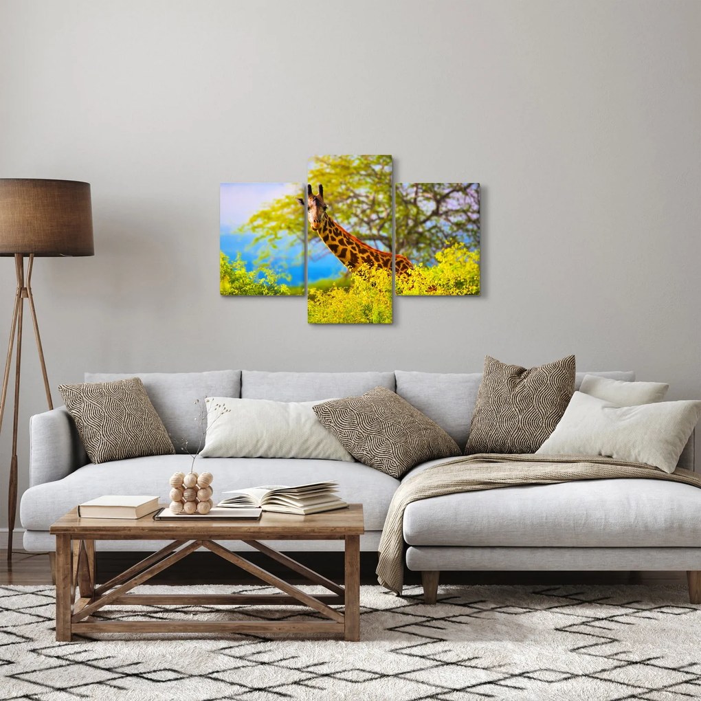 Tablou - Girafa în Africa (90x60 cm)