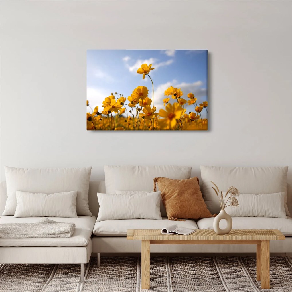 Tablou - Câmp cu flori galben deschis (90x60 cm)