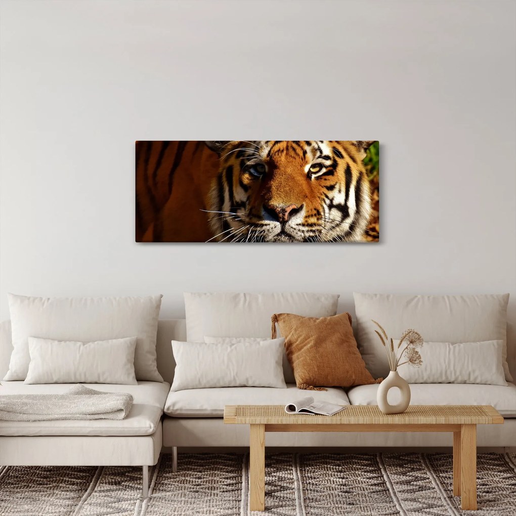 Tablou cu tigrul (120x50 cm)