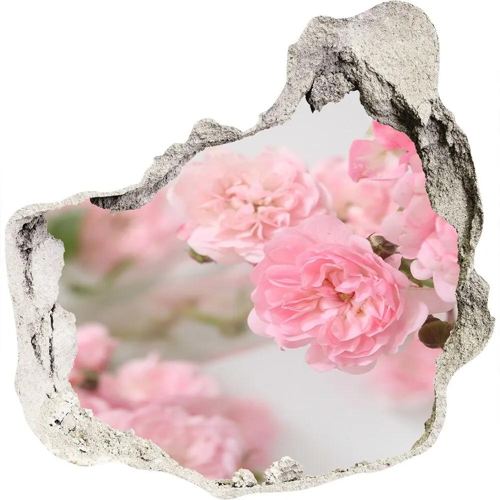 Autocolant de perete gaură 3D Trandafiri sălbatici