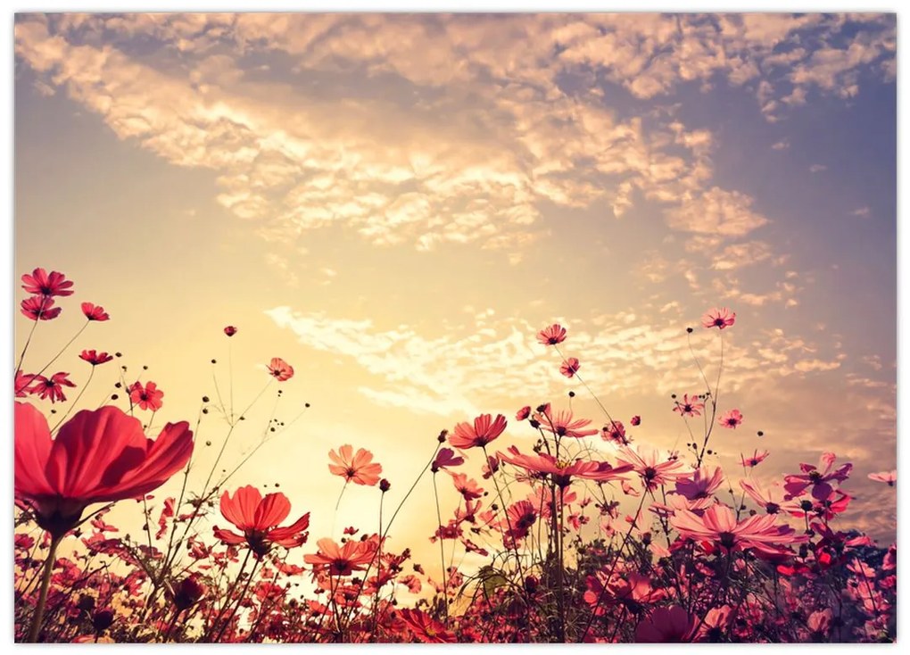 Tablou pe sticlă - Lunca cu flori (70x50 cm)