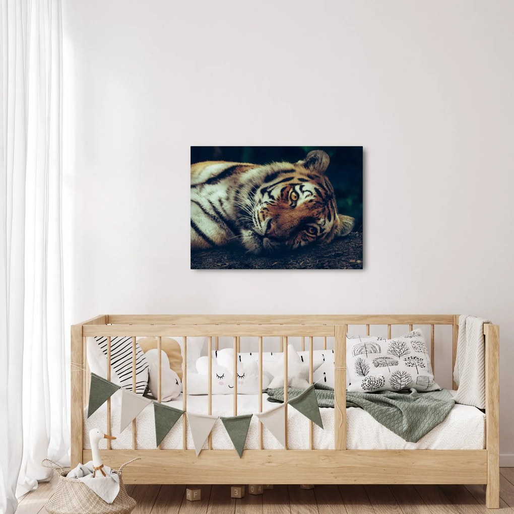 Tablou - Tigrul Siberian (70x50 cm)