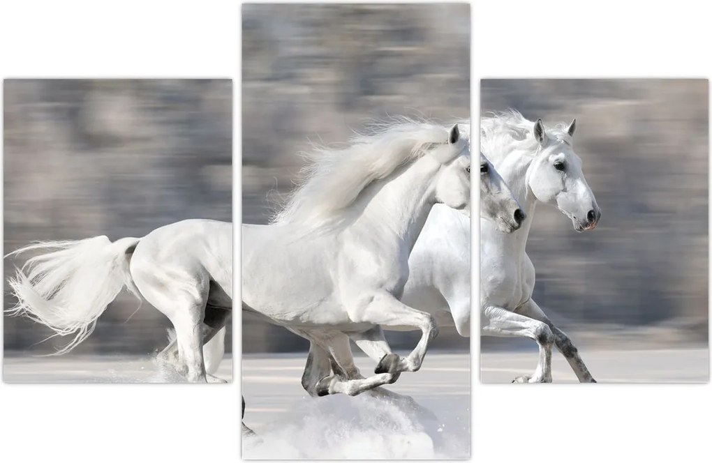 Tablou - Cai albi în timpul iernii (90x60 cm)