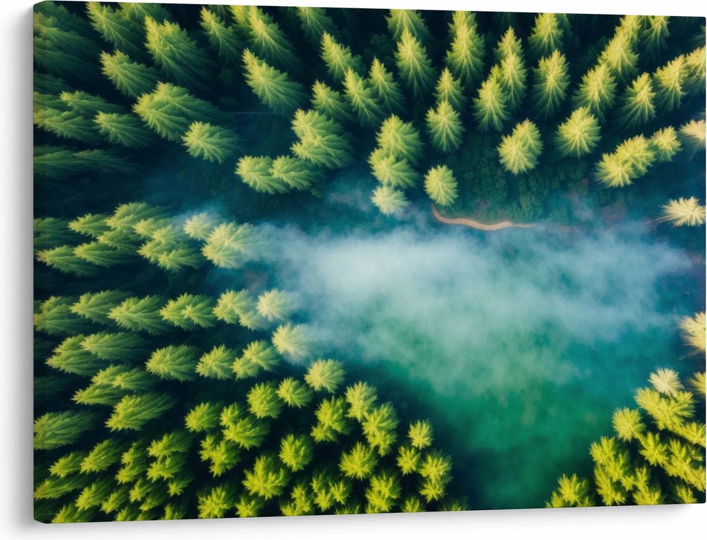 Tablou - O pădure învăluită în ceață (70x50 cm)