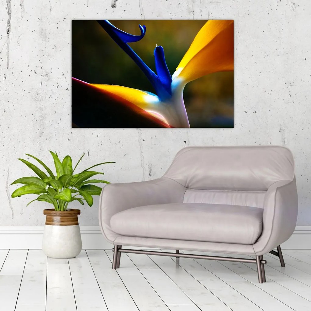 Tablou - Floare exotică (90x60 cm)