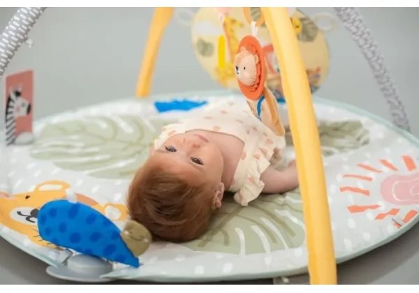 Covoraș de joacă cu trapez savană Taf Toys