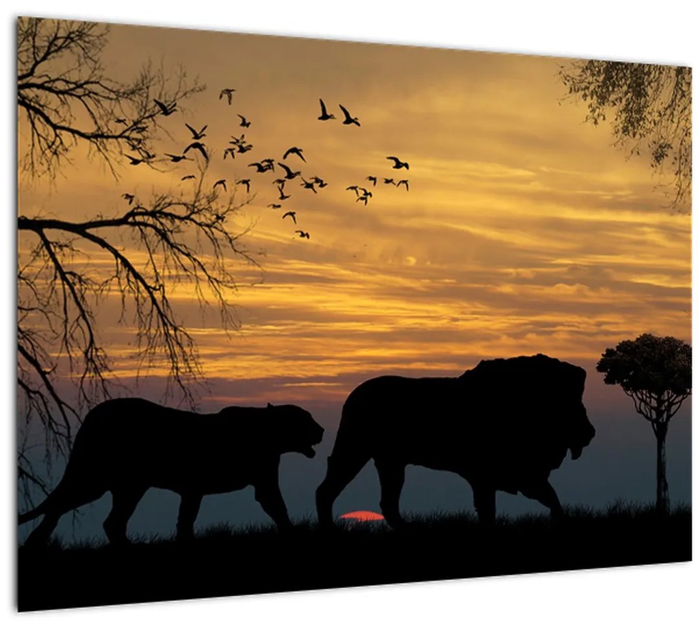 Tablou cu Safari (70x50 cm)
