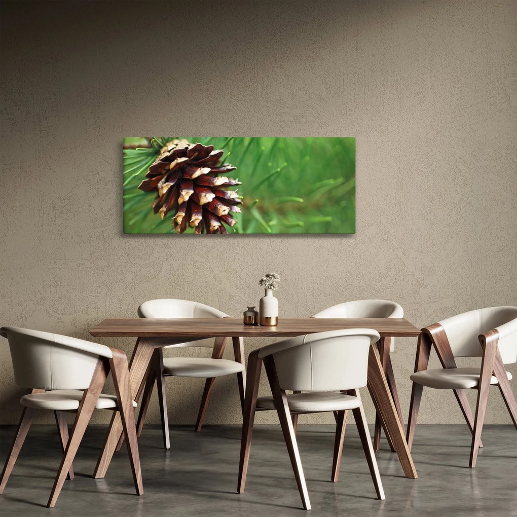 Tablou cu con (120x50 cm)
