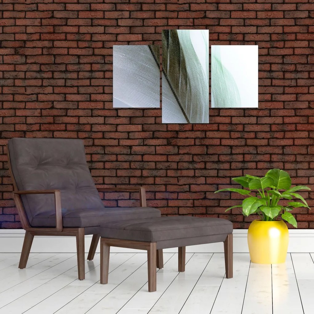 Tablou - Pene, macro (90x60 cm)