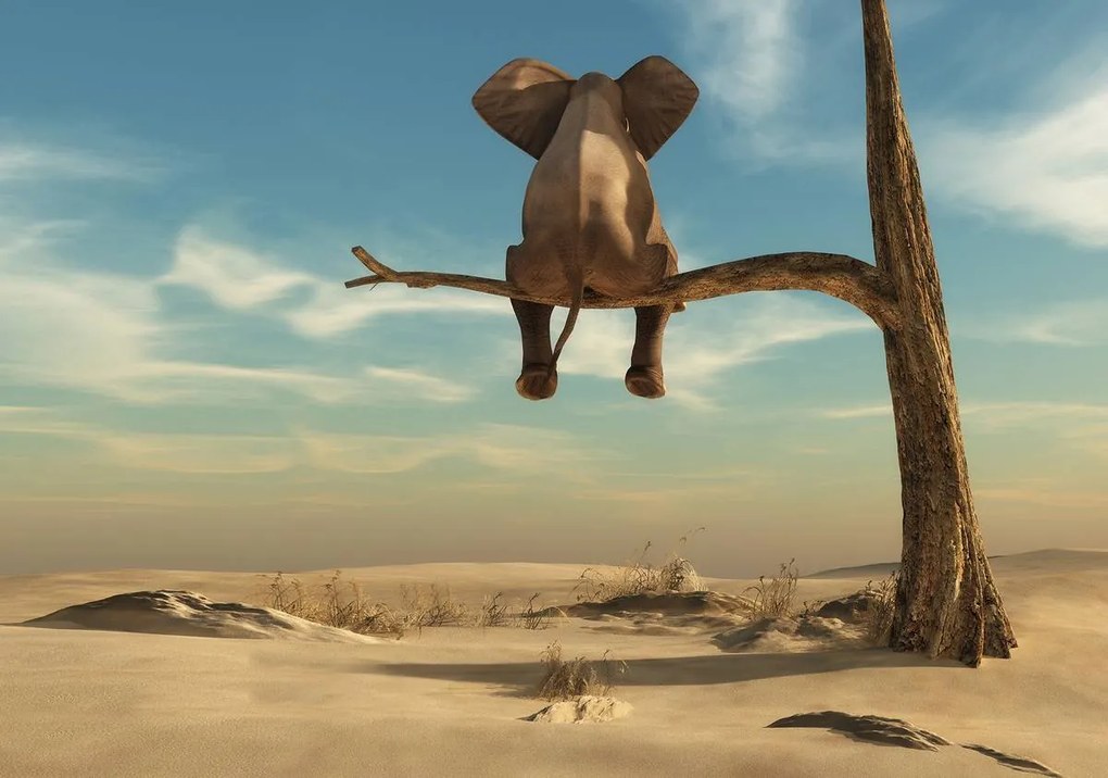 Fototapet - Elefant în copac (152,5x104 cm)
