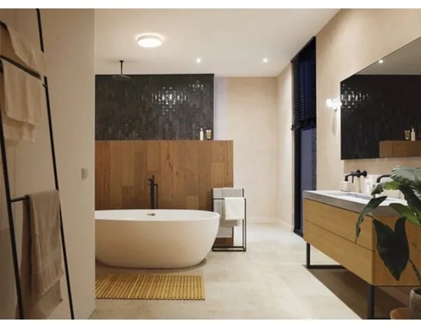 Plafonieră LED pentru baie dimabilă Hue LED/19,2W/230V IP44 d. 381 mm Philips + telecomandă