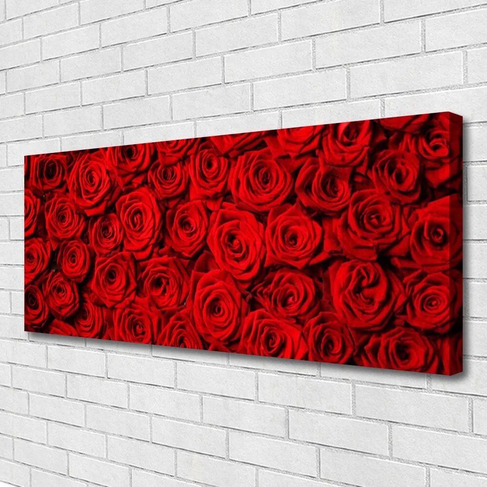 Tablou pe panza canvas Trandafiri Floral Roșu Verde Alb