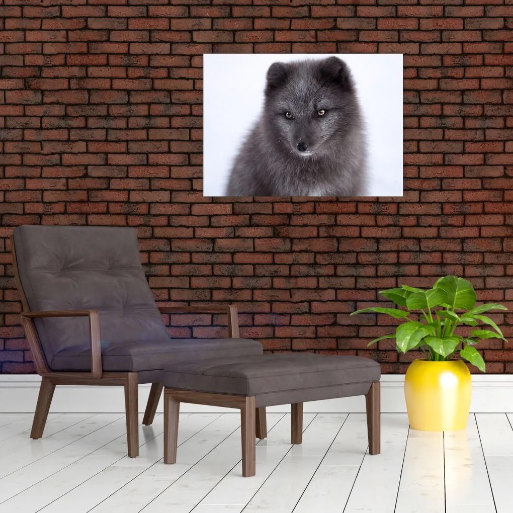 Tablou pe sticlă cu vulpe polară (70x50 cm)