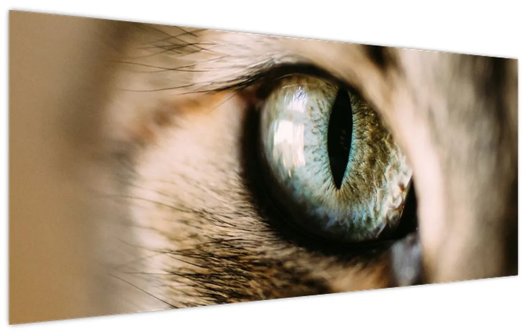 Tablou - Ochi de pisică (120x50 cm)