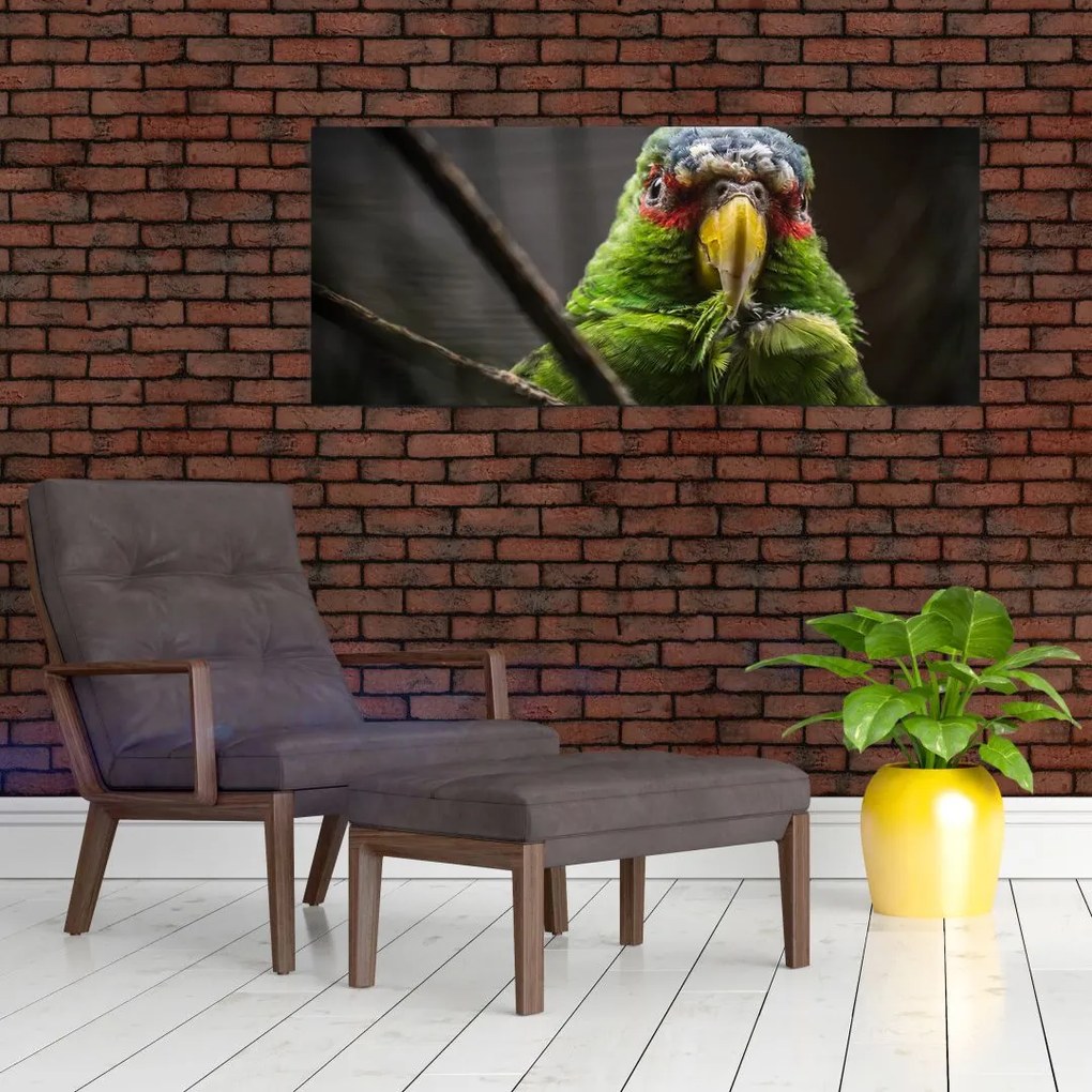 Tablou cu papagal (120x50 cm)