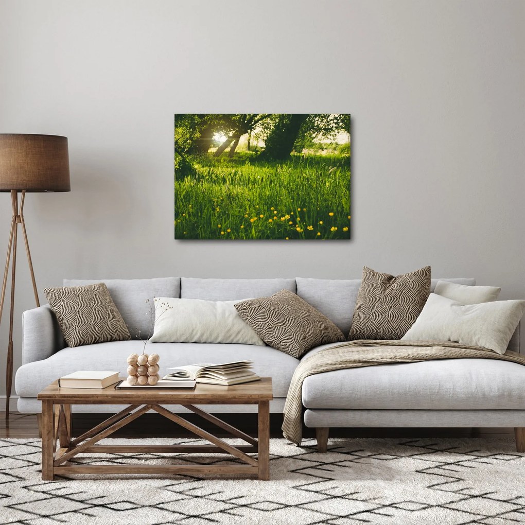 Tablou cu natura - lunca (70x50 cm)
