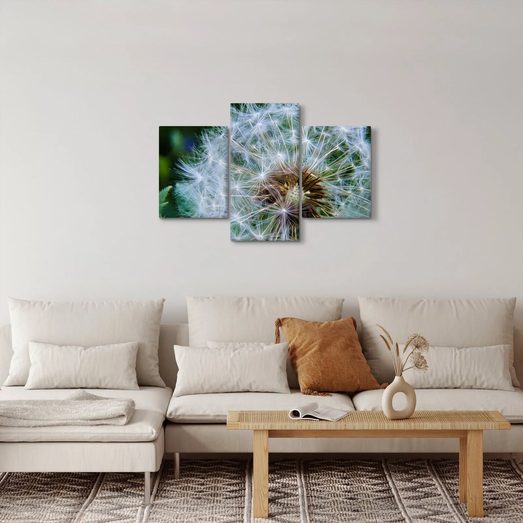 Tabloul cu păpădie desflorit (90x60 cm)