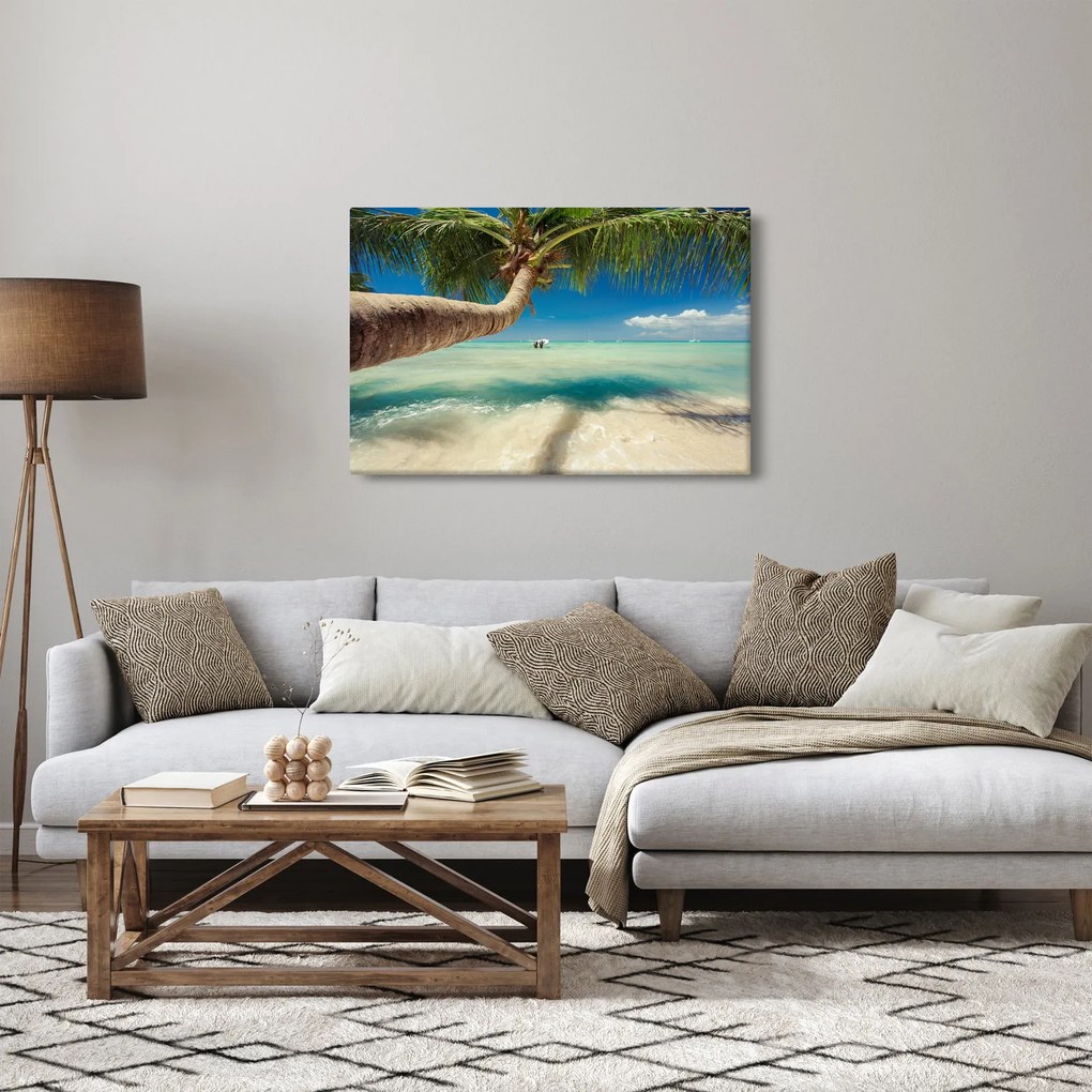 Tablou - Mare curată cu palmier (90x60 cm)