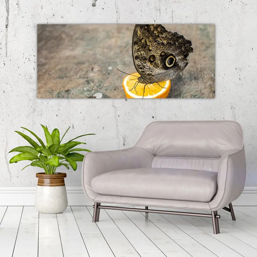 Tablou cu fluturi (120x50 cm)