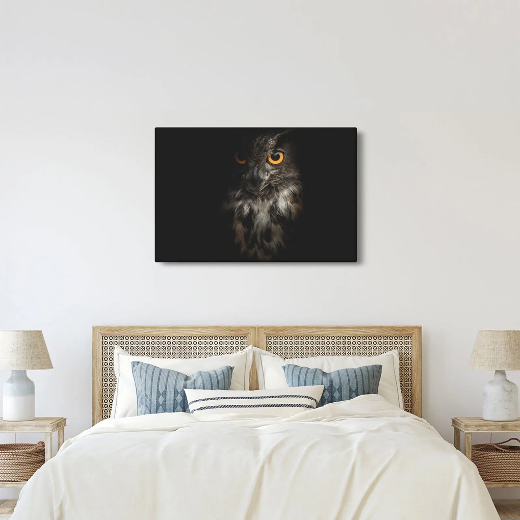 Tablou cu bufnița (90x60 cm)