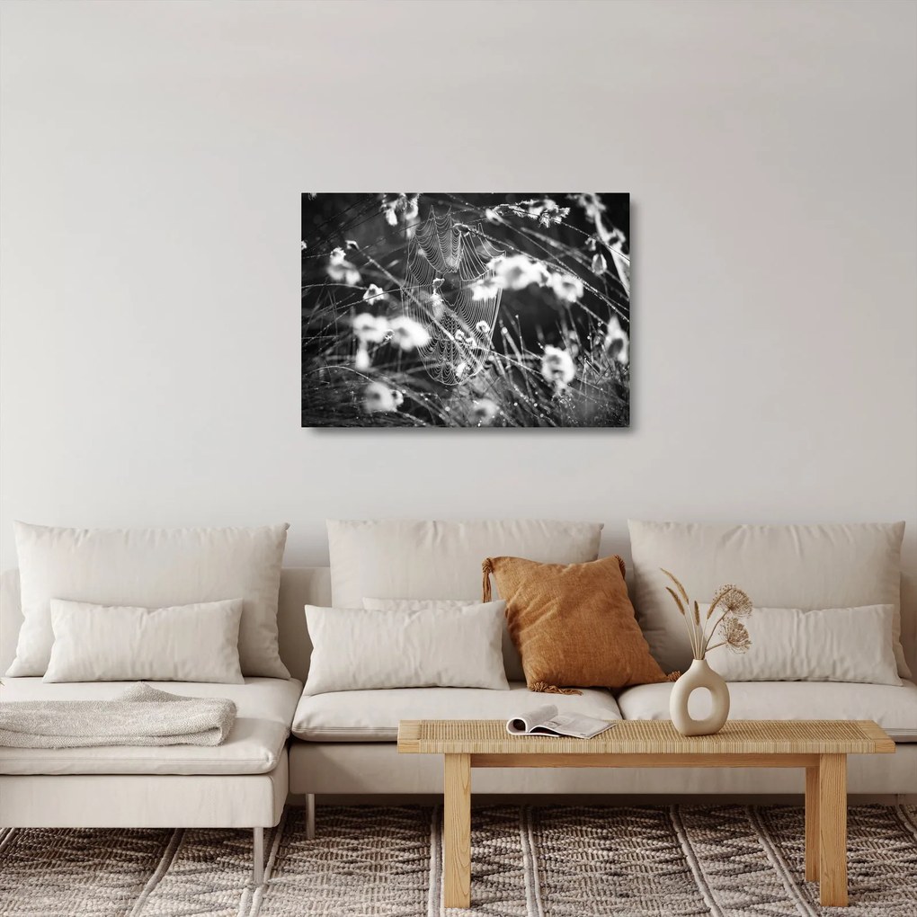Tablou pe sticlă - Pânza de păianjen în pajiște (70x50 cm)