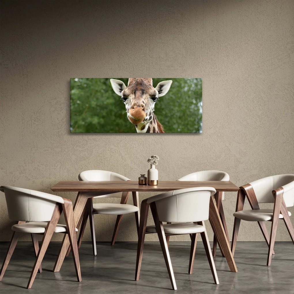 Tablou cu girafa (120x50 cm)