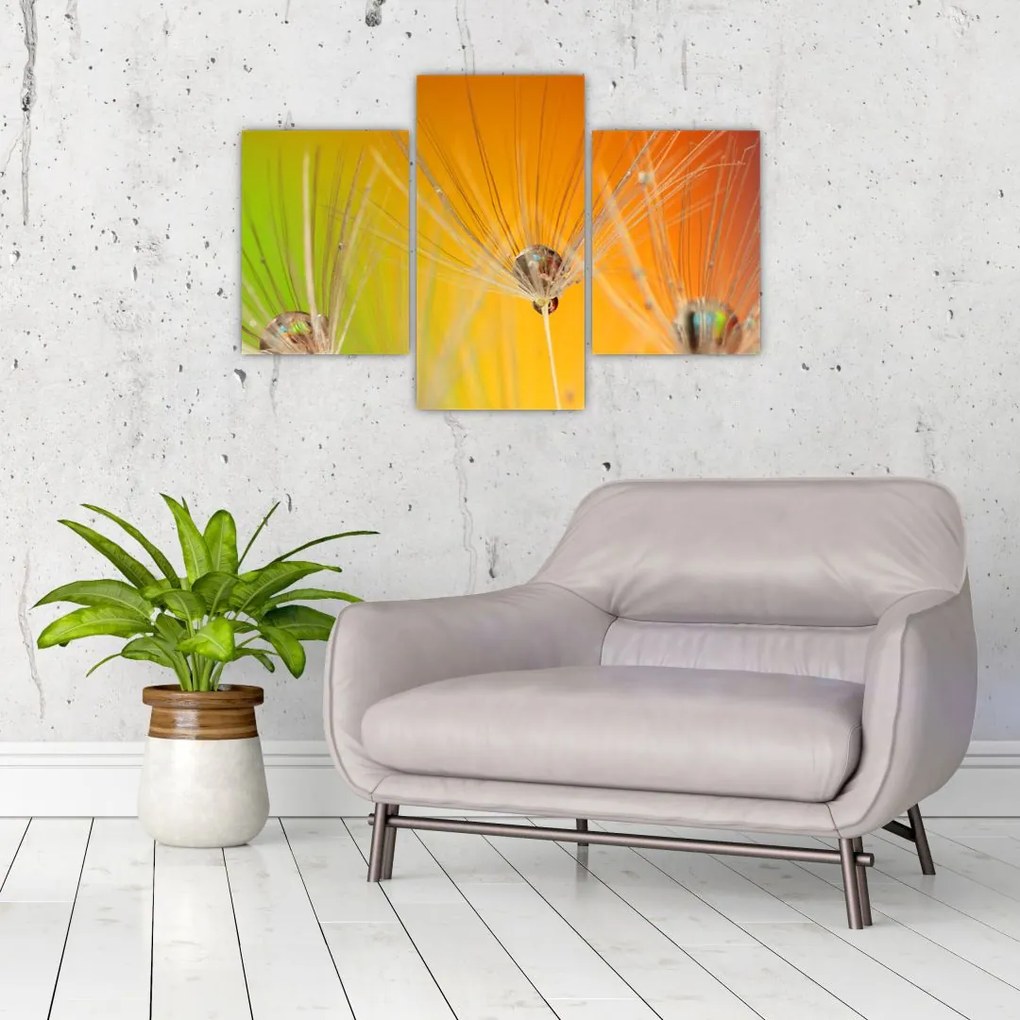 Tablou cu picături pe plantă (90x60 cm)