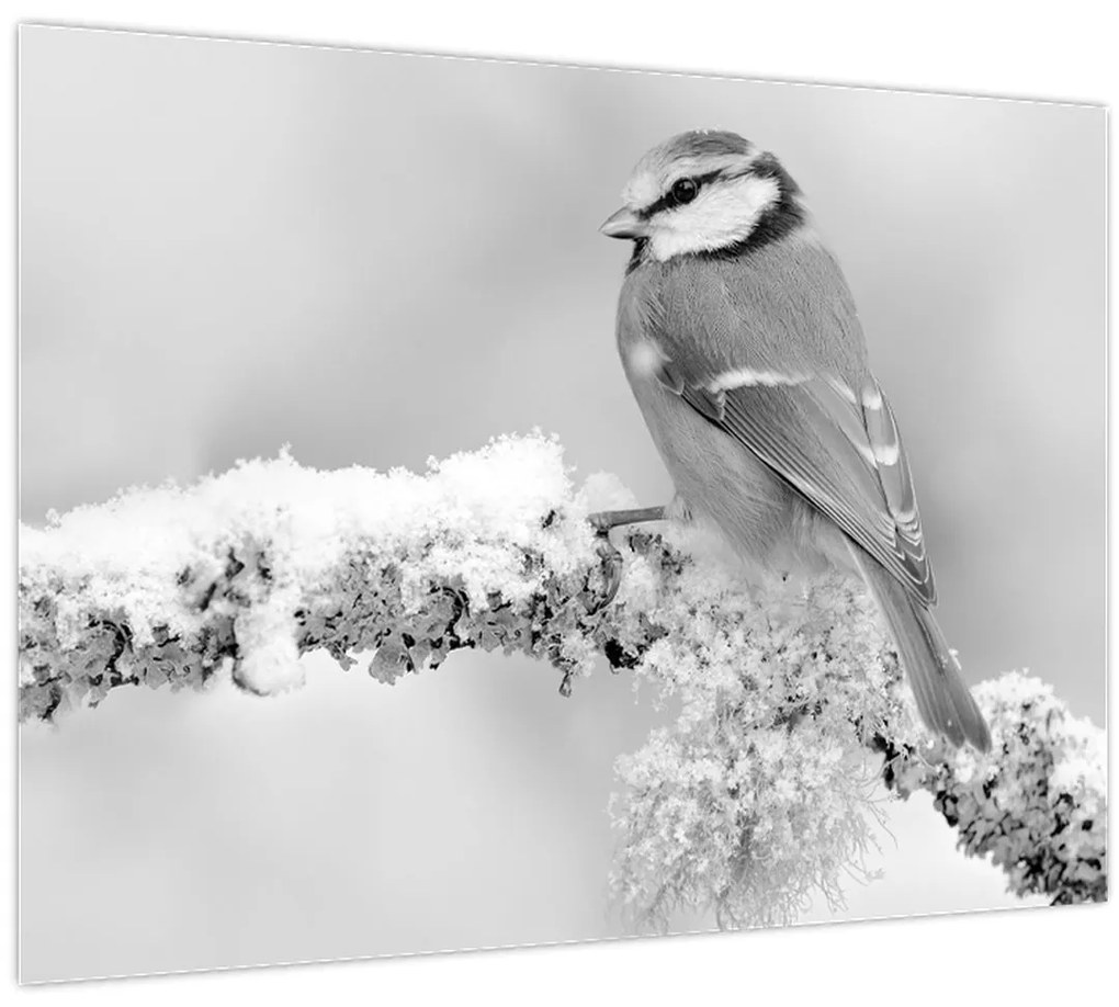 Tablou - O pasăre pe o creangă (70x50 cm)