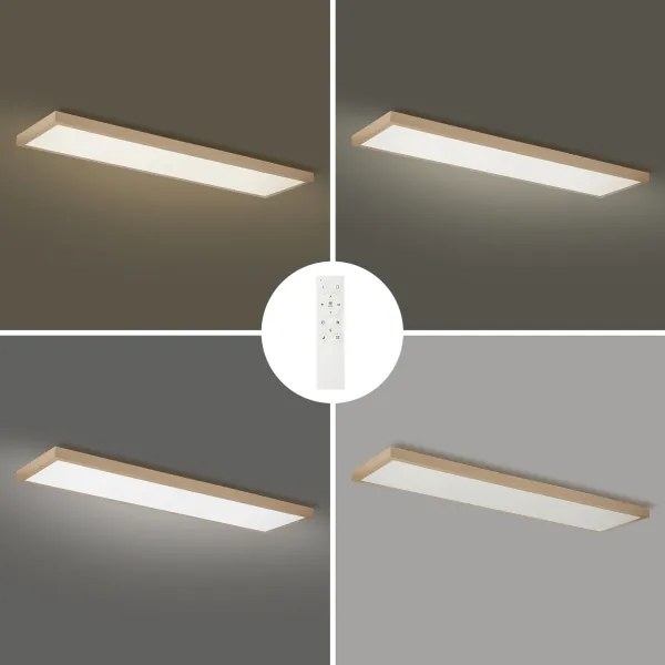 Brilagi-LED Aplica LED de baie dimabilă FRAME SMART LED/50W/230V 120x30 IP44 + telecomandă