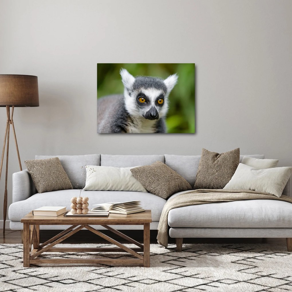 Tablou cu lemur (70x50 cm)