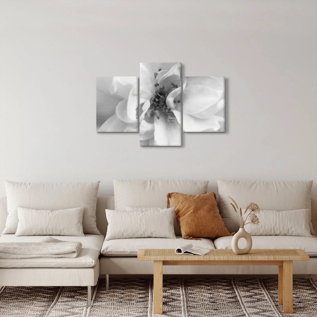 Tablou - Floare,alb-negru (90x60 cm)