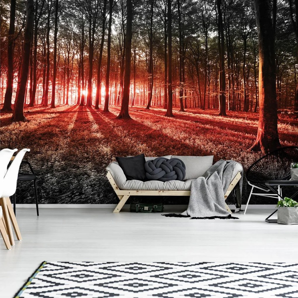Fototapet - Pădure (152,5x104 cm)