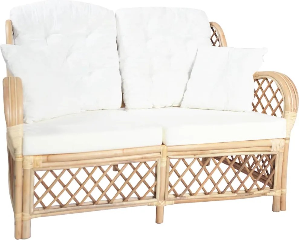 vidaXL Canapea de 2 locuri, ratan