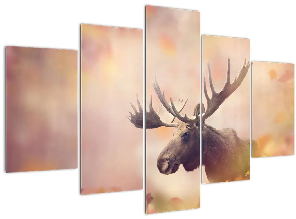 Tablou - Pădure în frunze de toamnă (150x105 cm)